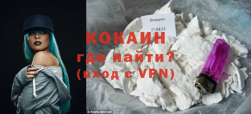 магазин продажи наркотиков  Каменногорск  COCAIN FishScale 